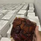 تمر صفري بيشه جامبو