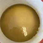 سمن بلدي غنم و بقر