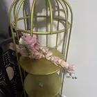 قفص شبكه ملكه مناسبات