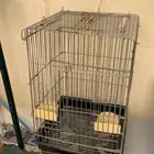 اقفاص طيور وحيوانات اليفة احجام مختلفة للبيع