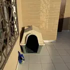 بيت كلب كبير او قفص
