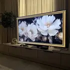 شاشة تلفزيون