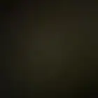 استقبل جميع الطيور للتبني لوجه الله سبحانه وتعالى