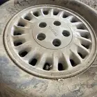 جنوط كرسيدا