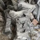 كمر صني 2015 - 2024