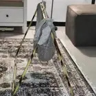 هندول جيزاني جديد