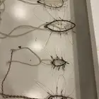 شبك صقور