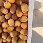 رطب خلاص وروثانه