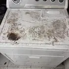 نشافه ويرلبول وش