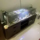 للبيع حوض سمك كبير