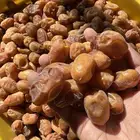 تمر خلاص القصيم