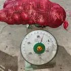 بصل بلدي 2كيلو وزن موجود بكميات للبيع
