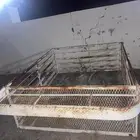 شبك هايلكس غماره 2019