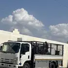 دينا نقل عفش والاثاث