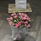 هدايا الرياض