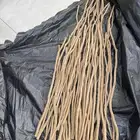 مساوييك يمني ذكر