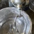 عجانه سوري