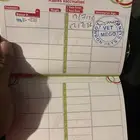 قط مهجن هميالا واسكوتش فولد