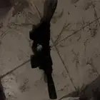 مفتاح الانوار كورلا 2015