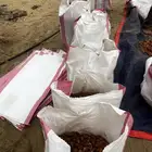 خرايط تمر الموقع بيشه