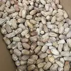 تمر بديره