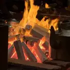 وصول فحم دفوه