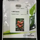 بذور طماط F1 امريكي للبيوت المحمية