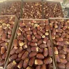 صقعي للبيع ب85 و الصامل براعيه