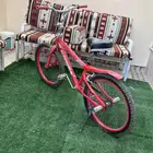 سيكل كوبرا مقاس 24 اللون الأحمر