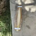 لقاح نخل