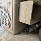 مكيف صحراوي