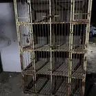 محكر حمام وتسمين ديوك