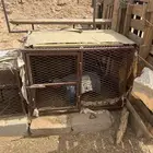 شبوك للبيع العدد 2 موقع الوادي