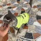 بسه بيت للبيع شرازيه انا قاص شعرها مع جميع اغراضه