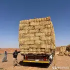 الدفع عند الوصول تبن برر قمح