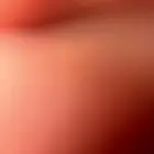 مطلوب ابل نياق