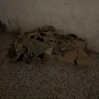 اجلة اباعر مستخدمة