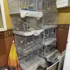 اقفاص وحضانة بسعر طيب