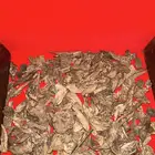 عود بروناي مكس vip