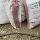 علف من المزرعه