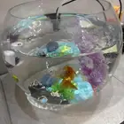 حوض سمك كامل ب اغراضه للبيع 6 سمكات 180