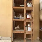 محكر حمام زينه ( تم البيع )