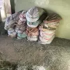 تمر غنم للبيع العدد 30كييس