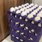 بيض دجاج بلدي عضوي