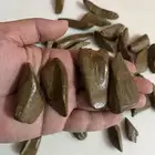 موروكي المناسبات