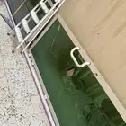 باب مدخل عماره كامل المنيوم اخضر   اربع غسالات اوتوماتيك