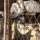 حمام سوادي طرح اليوم طريق الحدباء