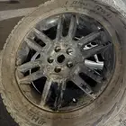 جنوط للبيع نظيفه جدا