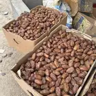 تمر صفري