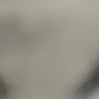 قطه للبيع ( انثى)